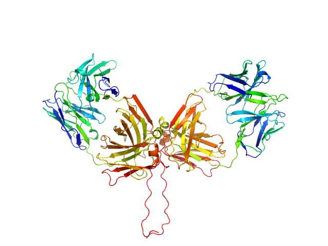 ChiLob 7/4 IgG2 F(ab)2 C225S/kC214S mutant MOLECULAR DYNAMICS FRAME model