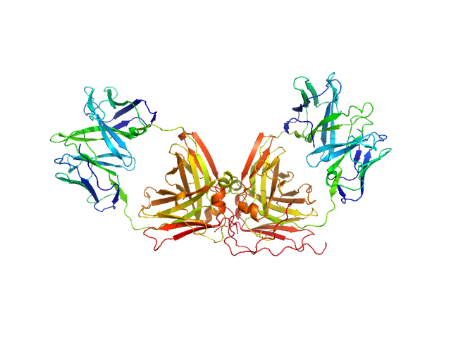 ChiLob 7/4 IgG2 F(ab)2 C225S/kC214S mutant MOLECULAR DYNAMICS FRAME model