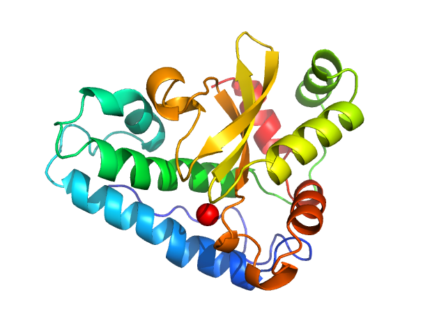 PDB (PROTEIN DATA BANK) model