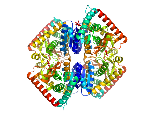 PYMOL model