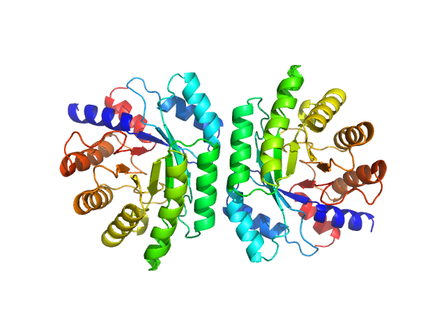 Deoxyribose-phosphate aldolase PDB (PROTEIN DATA BANK) model