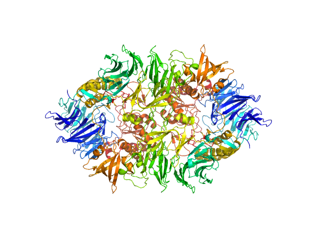 Tricorn protease PDB (PROTEIN DATA BANK) model