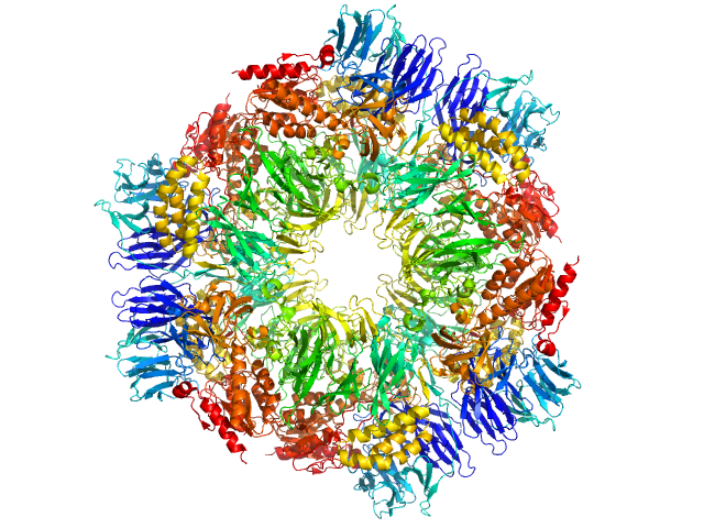Tricorn protease PDB (PROTEIN DATA BANK) model
