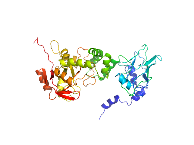 BILBOMD model