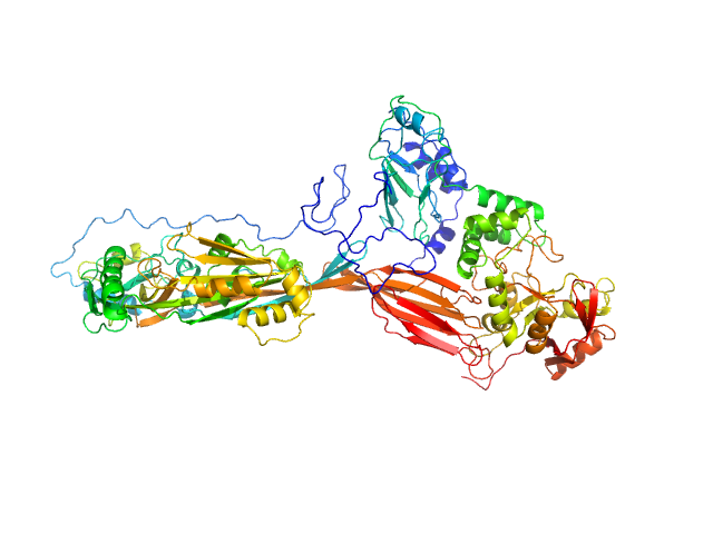 BILBOMD model