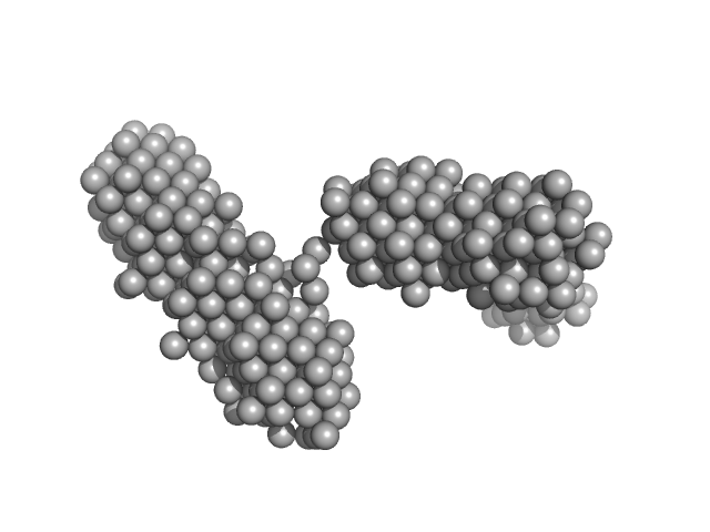 lysozyme amyloid fibril Fe3O4 nanoparticles; nominal diameter 20 nm (hydrodynamic diameter) DAMMIN model