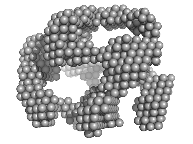 lysozyme amyloid fibril Fe3O4 nanoparticles; nominal diameter 20 nm (hydrodynamic diameter) DAMMIN model