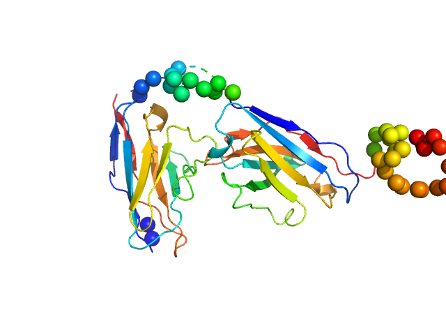 Recombinant monoclonal anti-proNGF antibody in single chain Fv fragment (scFv) BUNCH model