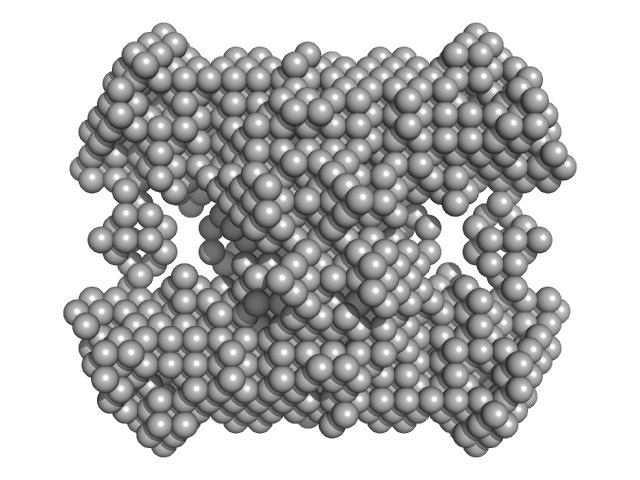 N-acetylglucosamine kinase 1 DAMMIN model