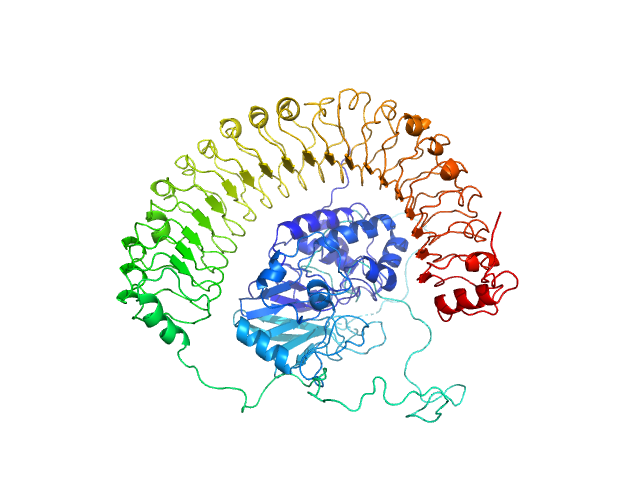 BILBOMD model