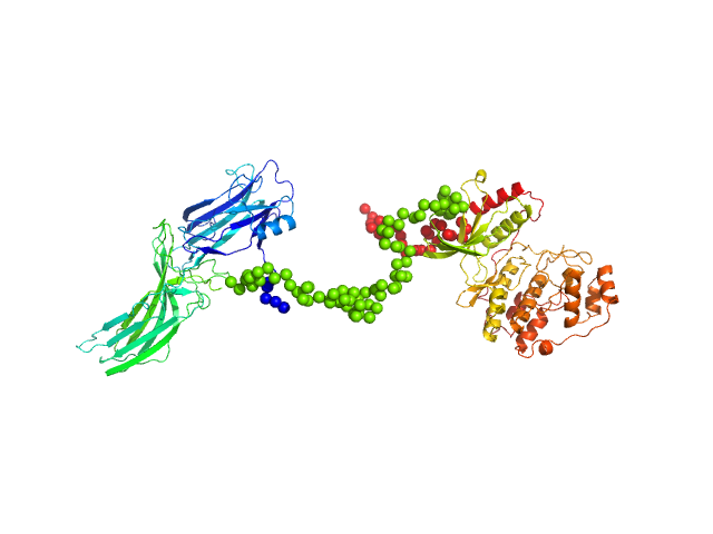 Arrestin-3 fused to extracellular signal-regulated kinase 2 EOM/RANCH model