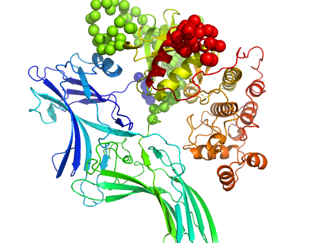 Arrestin-3 fused to extracellular signal-regulated kinase 2 EOM/RANCH model