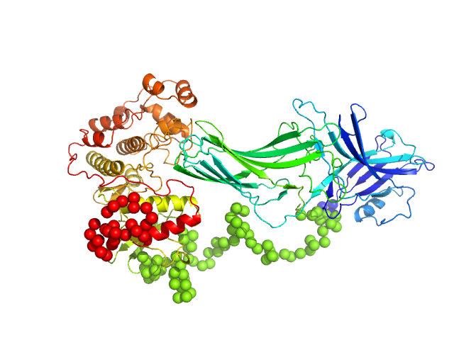 Arrestin-3 fused to extracellular signal-regulated kinase 2 EOM/RANCH model