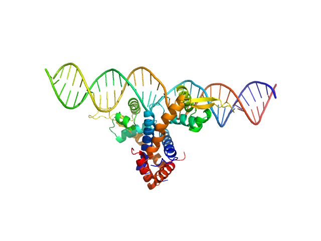 Multidrug resistance operon repressor 34 base pair double-stranded DNA GROMACS model