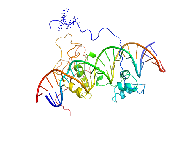 Immunity repressor 24mer dsDNA BILBOMD model