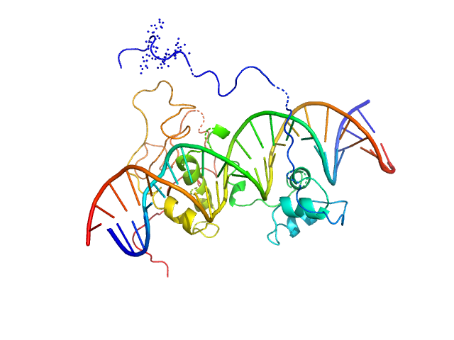 BILBOMD model