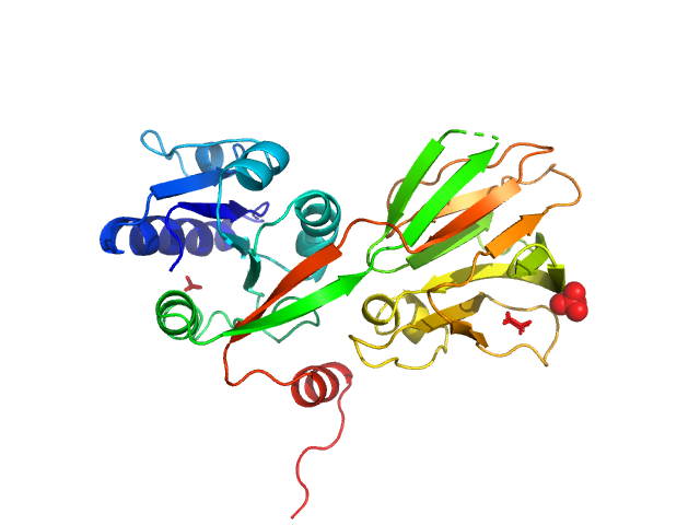 PDB (PROTEIN DATA BANK) model