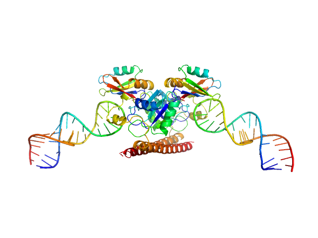 Non-POU domain-containing octamer-binding protein 5-10-5 gapmer phosphorothioate antisense oligonucleotide tetramer SASREF model