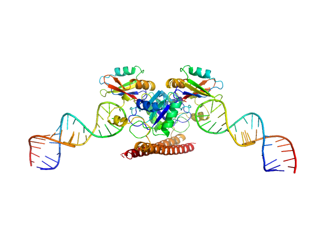 SASREF model