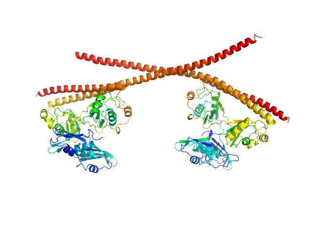 Splicing factor, proline- and glutamine-rich Non-POU domain-containing octamer-binding protein PDB (PROTEIN DATA BANK) model