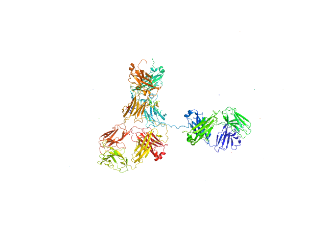 Anti-CD20 IgG antibody (Rituximab heavy chain chimeric) Anti-CD20 IgG antibody (Rituximab light chain chimeric) OTHER model