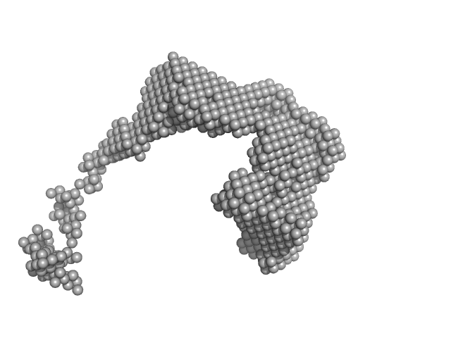 lysozyme amyloid fibril DAMMIF model