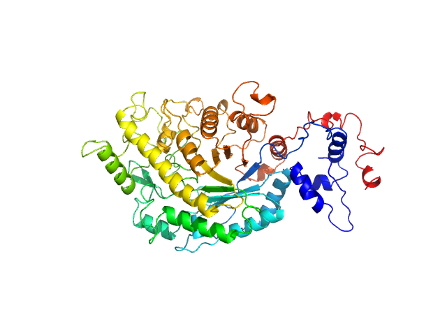 Beta-amylase 1, chloroplastic YASARA model