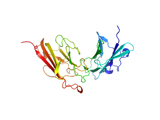 MULTIFOXS model