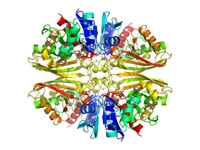 PDB (PROTEIN DATA BANK) model