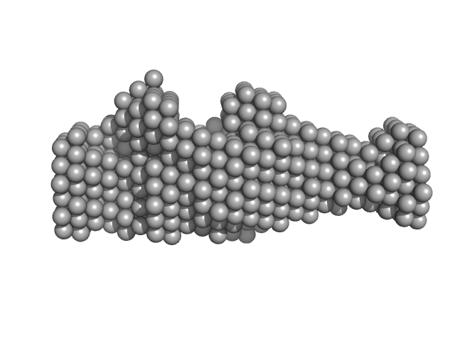 CMRF35-like molecule 8 DAMMIN model