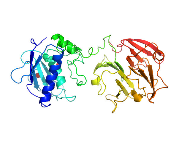 Macrophage metalloelastase MOLMOL model