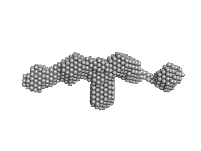 Fibrillin-1 PF3 DAMMIF model