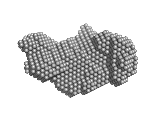 Peptidyl-prolyl cis-trans isomerase FKBP43 Histone H3.1 Histone H4 DAMMIF model