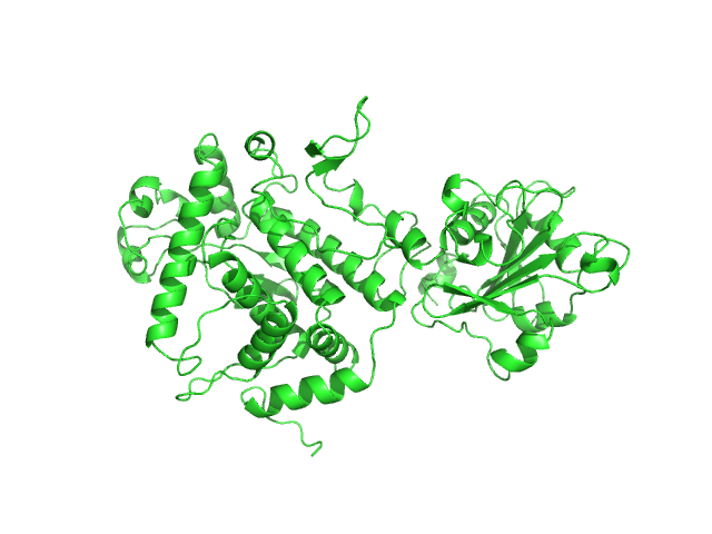 Apoptosis inducing protein OTHER model