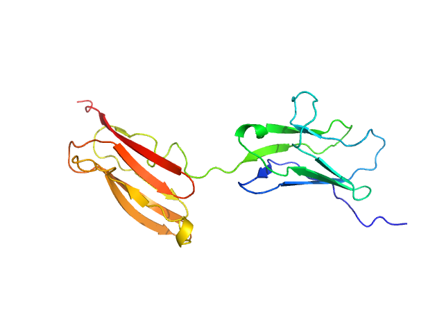 Obscurin Ig domains 12/13 short MULTIFOXS model