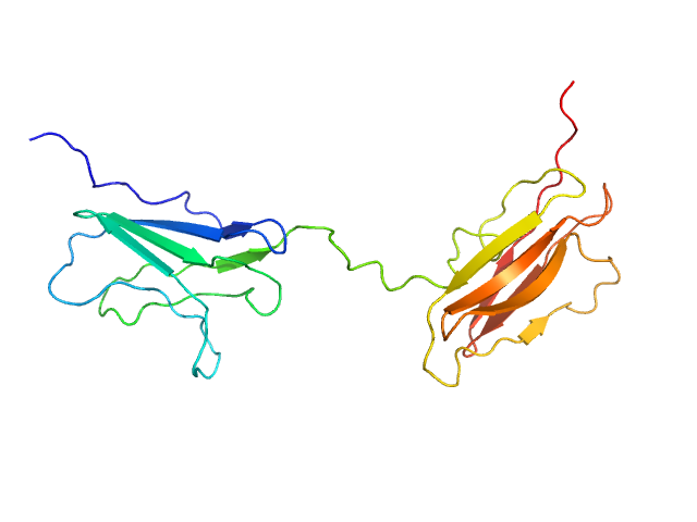 MULTIFOXS model