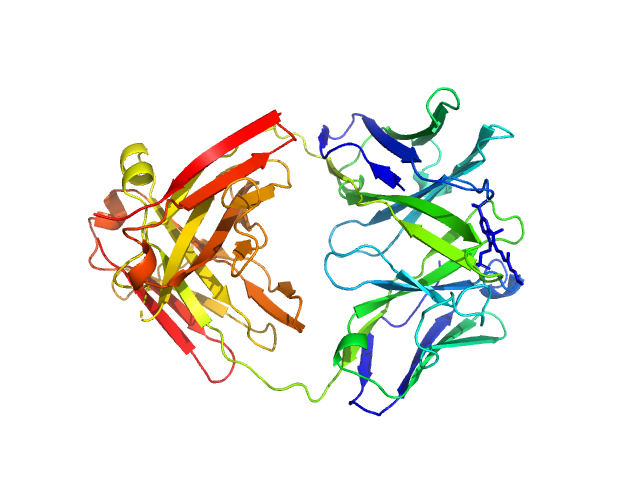 PDB (PROTEIN DATA BANK) model