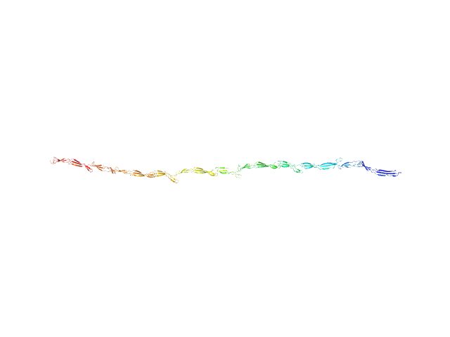 Accumulation associated protein (mutant) OTHER model