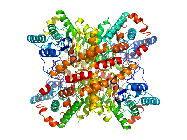 PDB (PROTEIN DATA BANK) model