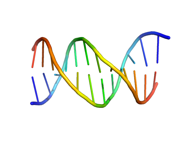 AT-rich dsDNA PYMOL model