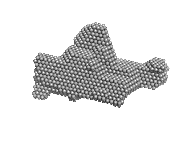 DAMMIF model