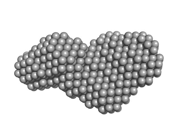 Neural cell adhesion molecule L1 DAMFILT model