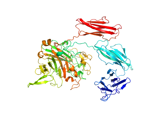 MULTIFOXS model