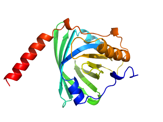 PYMOL model