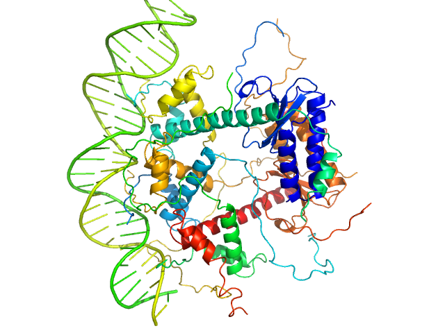 Antitoxin ParD Toxin 31-bp DNA operator box CUSTOM IN-HOUSE model