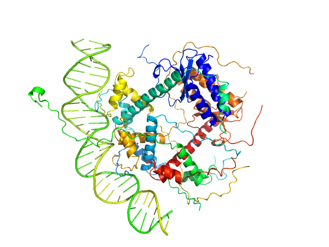 Antitoxin ParD Toxin 31-bp DNA operator box CUSTOM IN-HOUSE model