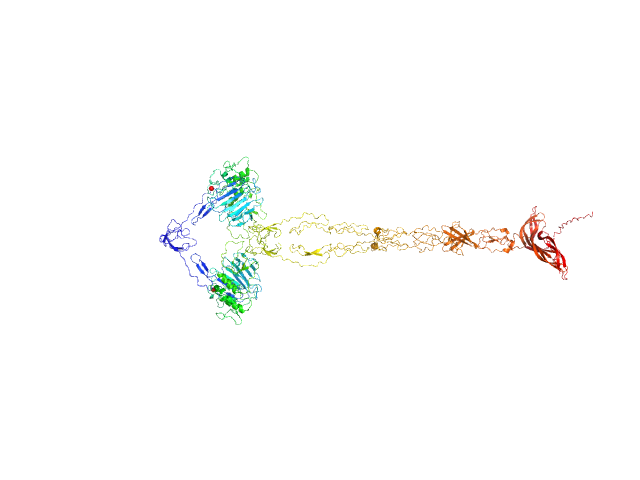 Human Mucin 2 C-terminal OTHER model