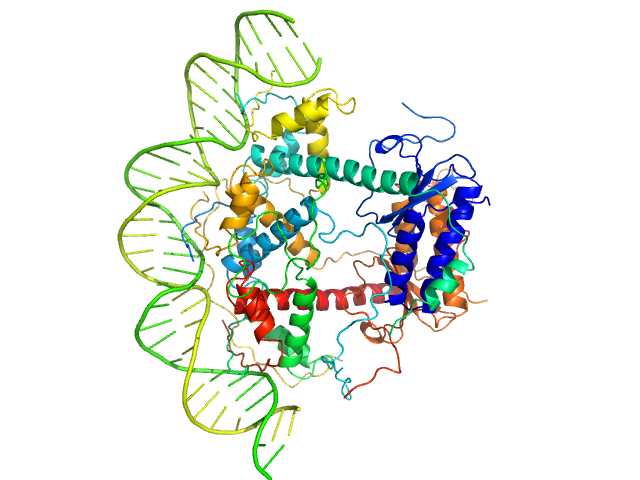 Antitoxin ParD Toxin 33-bp DNA operator fragment CUSTOM IN-HOUSE model