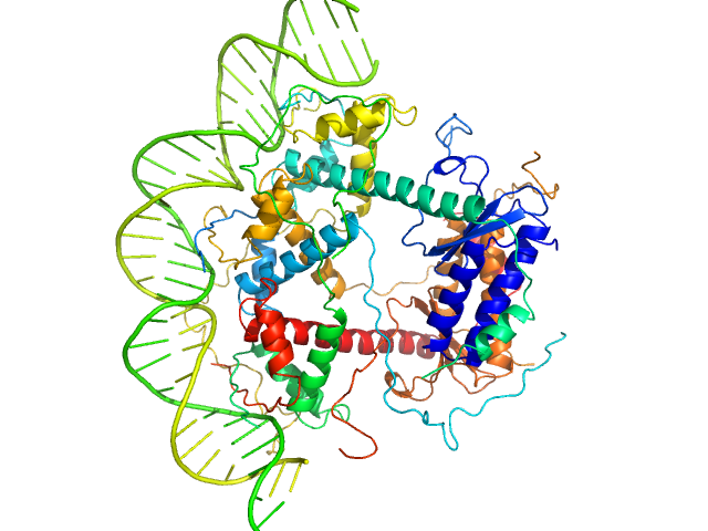 Antitoxin ParD Toxin 33-bp DNA operator fragment CUSTOM IN-HOUSE model