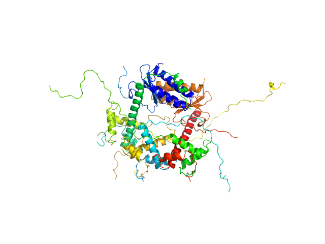 Antitoxin ParD Toxin CUSTOM IN-HOUSE model